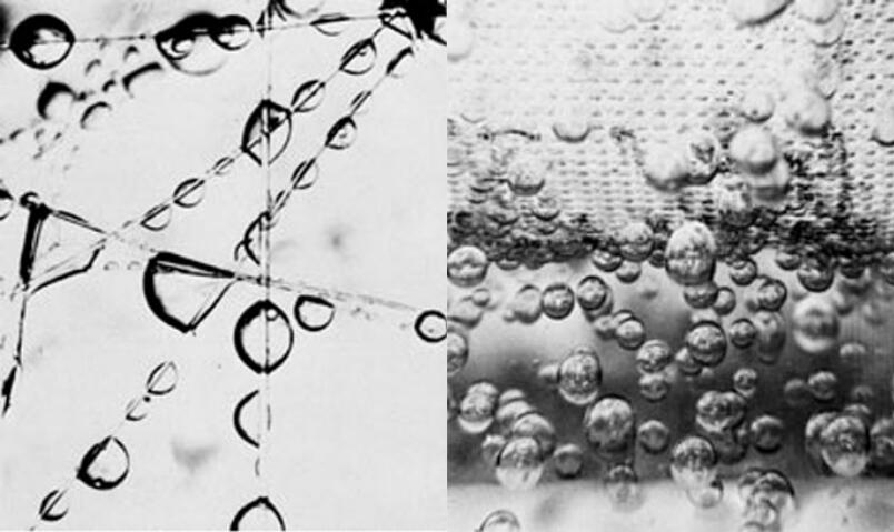 5de86b8e18f02.jpg 05.jpg